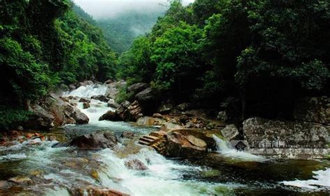 十萬大山|驚呆了，原來十萬大山還有這樣的傳說，你知道嗎